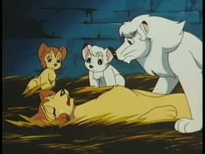 Episodio 25