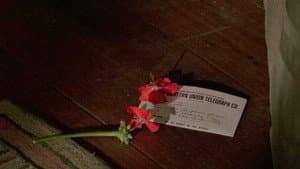 Mujercitas — foto 4
