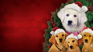 Santa Buddies — foto 9