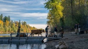 First Cow — foto 9