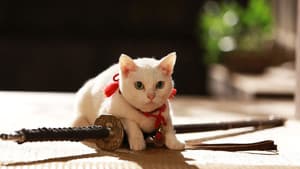 猫侍 南の島へ行く — foto 1