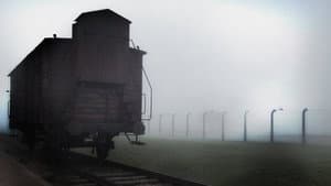 Ein Tag in Auschwitz — foto 3