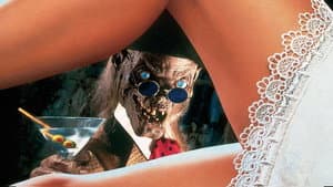 El Club de Los Vampiros — foto 4