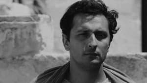 Pier Paolo Pasolini e la ragione di un sogno — foto 1