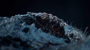 Beigas — foto 5