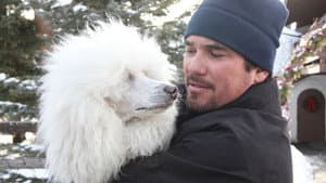 The Dog Who Saved Christmas Vacation — foto 1