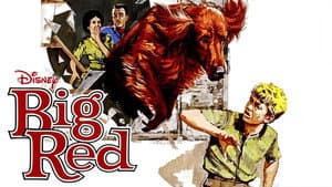Big Red — foto 5