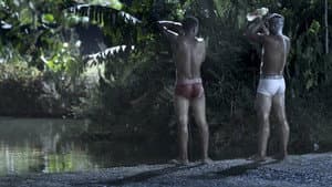 Lucciole — foto 1