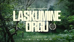 Laskumine orgu — foto 1