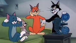 Smarty Cat — foto 1