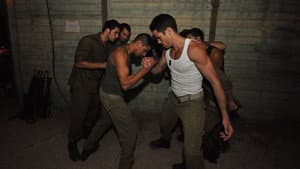 שבלולים בגשם — foto 7