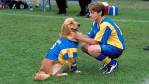 Air Bud 3: Los cachorros de Buddy — foto 1