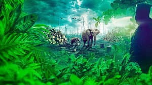 Gabon: Earth's Last Chance — foto 1