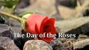 The Day of the Roses — foto 1
