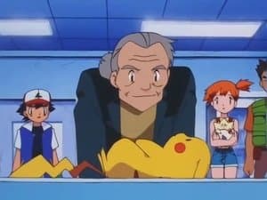 El Intérprete Pokémon