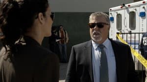 Episodio 4