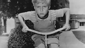 Dennis the Menace — foto 1