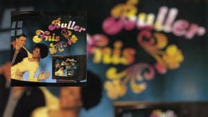 Bullerfnis — foto 1