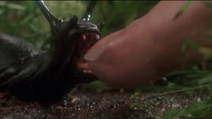 Slugs, muerte viscosa — foto 9