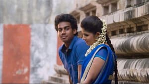 சகா — foto 2
