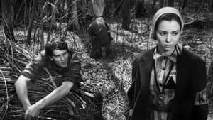 Kapò — foto 2
