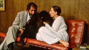 Lucy, el chimpancé humano — foto 4