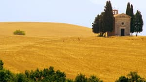 Mare di grano — foto 1