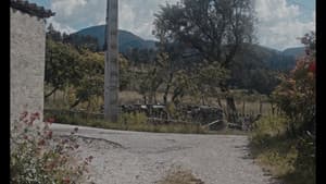 Fiori bianchi — foto 2