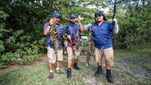 Episodio 6