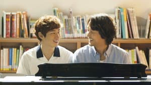 파파로티 — foto 1