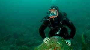 Playa de tiburones con Chris Hemsworth — foto 8
