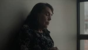 Sigo Aquí — foto 3