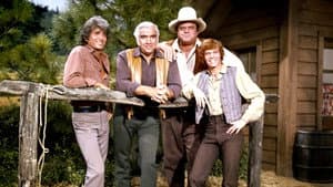 Bonanza — foto 6