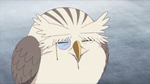 Episodio 11