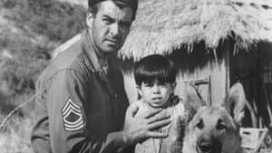 The Young and the Brave — foto 2