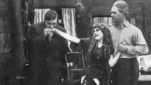 Tess of the Storm Country — foto 5