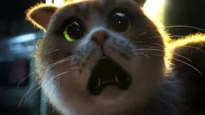 Scaredy Cat — foto 1