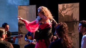 Flamenco Flamenco — foto 2
