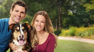Love at First Bark — foto 2