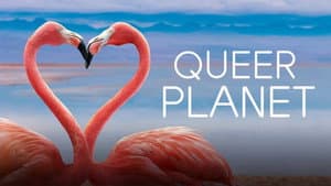 Queer Planet — foto 3