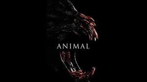 Animal — foto 5