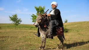 Nasreddin Hoca — foto 2
