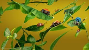 Bichos: Una verdadera aventura en miniatura — foto 2