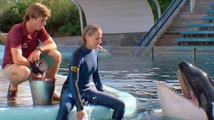 Tiburón 3-D: El Gran Tiburón — foto 11