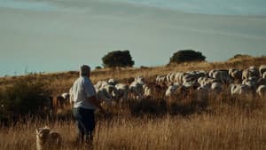 Tacho — foto 1