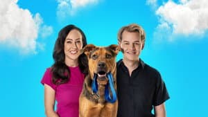 New Leash on Life — foto 1