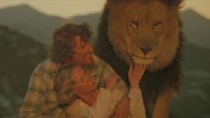 Roar — foto 6