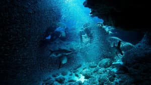 Atlantic: The Wildest Ocean on Earth — foto 2