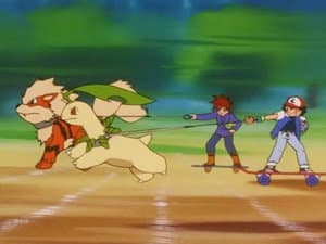 ¡Pokémon Extremo!