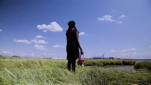 Wayfinder — foto 7